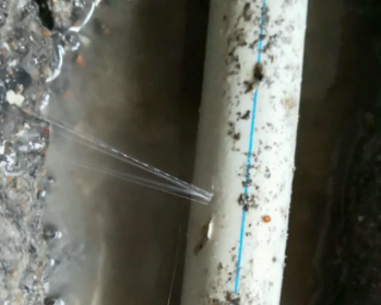莱芜市卫生间测漏水多少钱