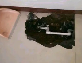 莱芜市卫生间测漏水多少钱